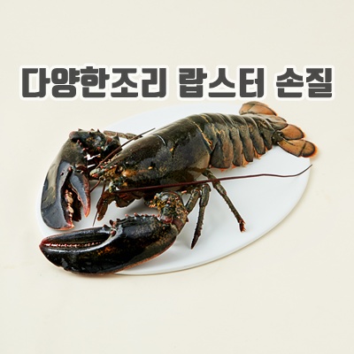 1.캐나다산 활랍스터_이미지(imge)입니다.