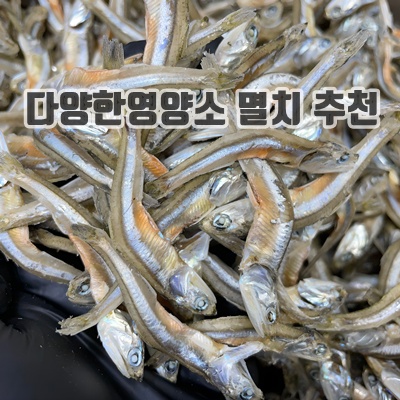 1.고추장 찍어 먹는 햇멸치 500g, 1개_이미지(imge)입니다.