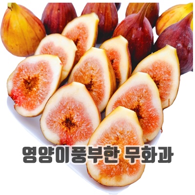 1.[품질보증제] 영암 무화과 홍무화과 생무화과, 1kg, 1개_이미지(imge)입니다.