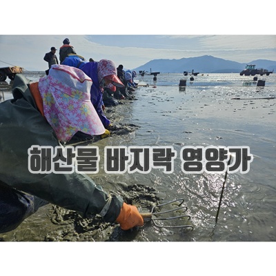 1.바지락부부 고창 갯벌 참바지락 해감O 당일발송, 1개, 5kg_이미지(imge)입니다.