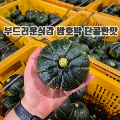 1.[제주농가] 고당도 미니 밤호박 정품 단호박 보우짱, 1박스, 로얄과 5kg_이미지(imge)입니다.