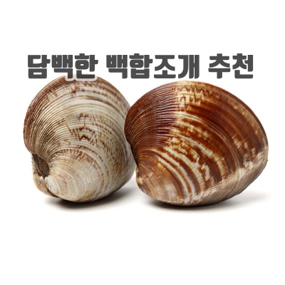 1.생물 백생합 조개 생합 1.5kg 당일조업 활 백합조개, 1개, 1.5kg_이미지(imge)입니다.