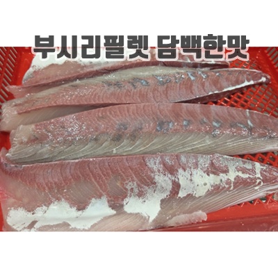 1.여름 제철 회 부시리회 필렛 (동해안 자연산 100% 소방어), 1개, 300g 내외_이미지(imge)입니다.