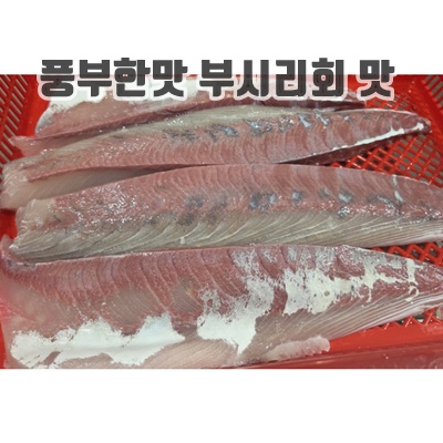 1.여름 제철 회 부시리회 필렛 (동해안 자연산 100% 소방어), 1개, 300g 내외_이미지(imge)입니다.