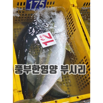 2.국내산 자연산 부시리를 집에서(부시리 6kg)_이미지(imge)입니다.