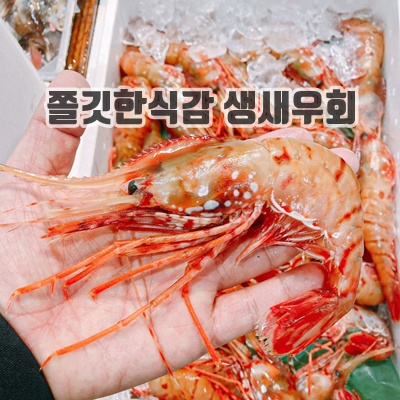 1.국내산 제철 활 독도 꽃새우 닭새우 도화새우 500g 산소포장 생새우 회 생물, 1개_이미지(imge)입니다.