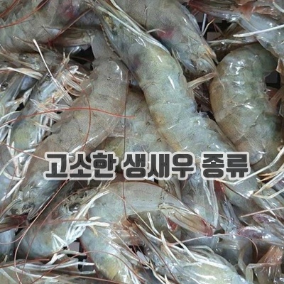 3.제철 흰다리새우 1kg 30미내외 대하, 왕새우, 구이, 찜,캠핑요리,감바스, 1개, 1kg_이미지(imge)입니다.