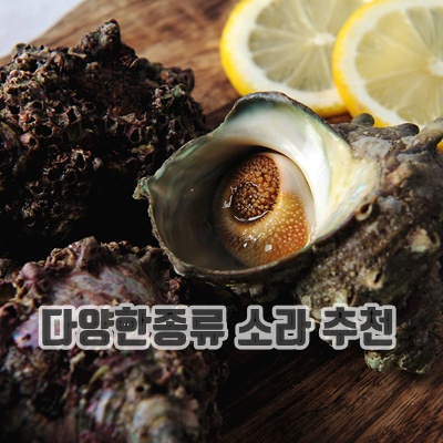 1.[완도] 자연산 뿔소라 1kg 완도 해녀가 직접 채취, 3kg, 1개_이미지(imge)입니다.