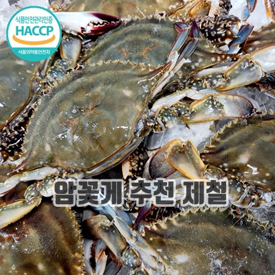1.국내산 연평도 냉동 암꽃게 특품 급냉_이미지(imge)입니다.