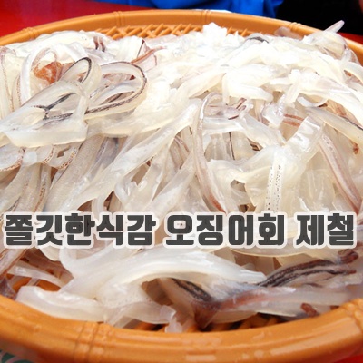 1.활 오징어 회 250g 야채소스포함, 1개, 250g_이미지(imge)입니다.