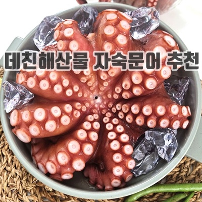 1.국산 자숙 문어 손질 세척 데친 숙회 제수용 국내산 손질 문어 한마리 500g ~ 2.4kg, 1개, 500~600g (자숙문어)_이미지(imge)입니다.