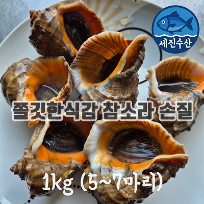 1.세진수산 국내산 참소라, 1개, 1kg (5~7개)_이미지(imge)입니다.