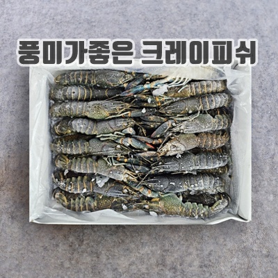 2.냉동 크레이피쉬 민물가재 (31/40)_이미지(imge)입니다.