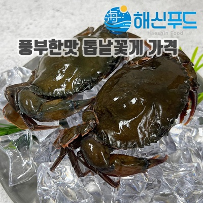 2.소프트쉘 크랩 900g 태국산 냉동 탈피 꽃게 푸팟퐁커리 머드크랩 껍질먹는게 톱날 꽃게_이미지(imge)입니다.