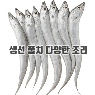 1.[더신선] 목포 국내산 갈치 풀치 10마리 당일조업 당일발송, 1세트, 갈치 10마리 (1kg)_이미지(imge)입니다.