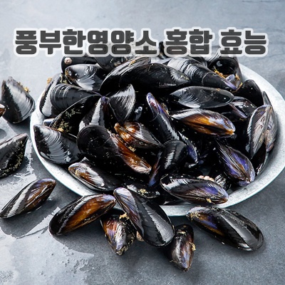 2.[로켓프레시] 바다자리 국산 생물 홍합 (냉장)_이미지(imge)입니다.