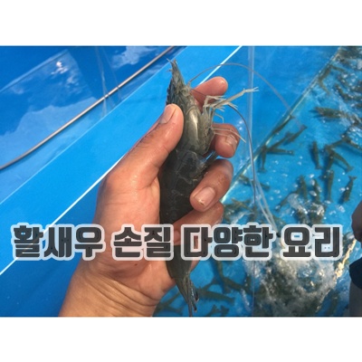 1.동화수산 살아있는 활새우_이미지(imge)입니다.