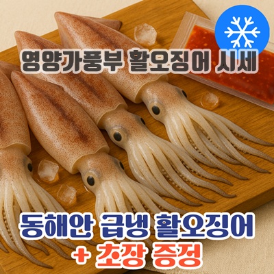 1.산들상회 [자연산] 청정 동해안 급냉 활오징어 5미(750g내외) 초장 무료증정, HACCP 인증시설 위생 포장, 1박스, 5미(초장1팩)X1세트_이미지(imge)입니다.