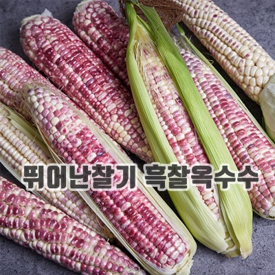 1.정자농원 농부직송 흑찰옥수수 선별 괴산햇찰옥수수 생물옥수수 맛있는 옥수수, 20개_이미지(imge)입니다.
