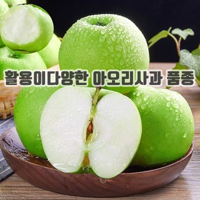 2.[맘카페1위] SNS후기폭주 아삭폭발 고당도 아오리사과_이미지(imge)입니다.