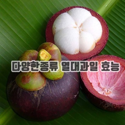 1.망고스틴 태국 항공 고당도 생과 제철 열대과일, 1개, 5kg 로얄과 (500g X 10망 40~60과)_이미지(imge)입니다.