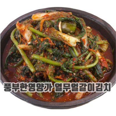 1.한건식 전라도 열무 얼갈이 김치, 10kg, 1개_이미지(imge)입니다.