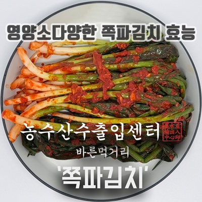 2.농수산수출입센터 전라도식 쪽파김치_이미지(imge)입니다.