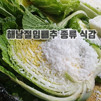2.해풍맞은 해남 절임배추 10kg, 20kg_이미지(imge)입니다.